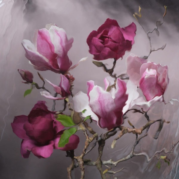 Magnolia by Catherine Cattanach