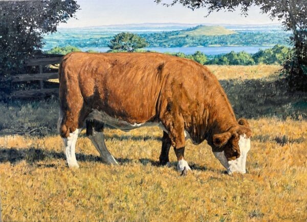 Cow and Bird in Cornwall Park by Justin Boroughs