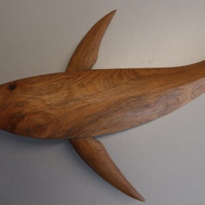 pohutakawa whale by tom lusk