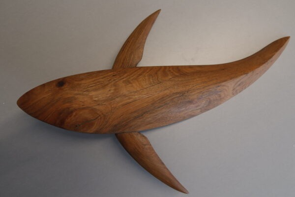 pohutakawa whale by tom lusk